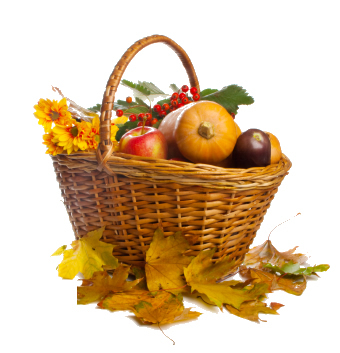 AUTUMNBasket