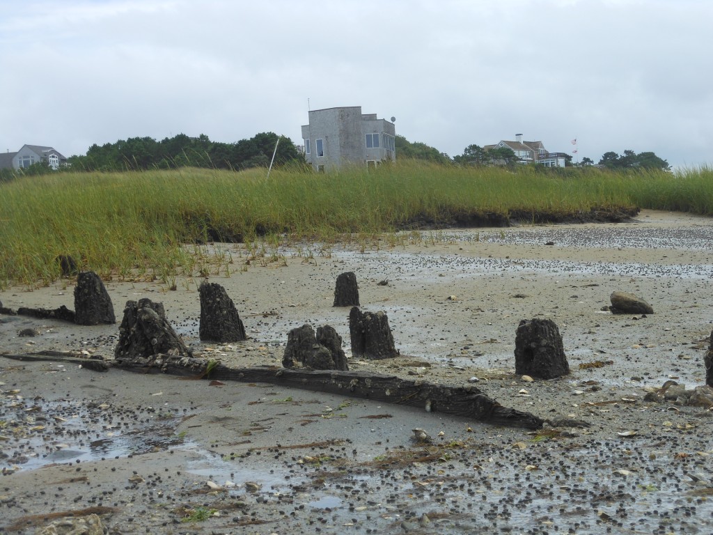 Wharf Pilings