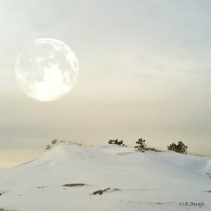 Bruyn_Moonlight on dune_iphonography